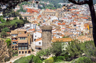 Fototapety na wymiar - Fototapeta24.pl