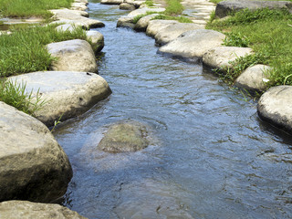 Rocky Stepping Stones along river