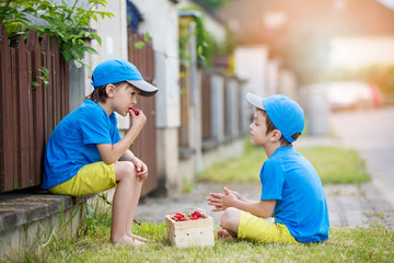 Two adorable little children, boy brothers, eating strawberries,