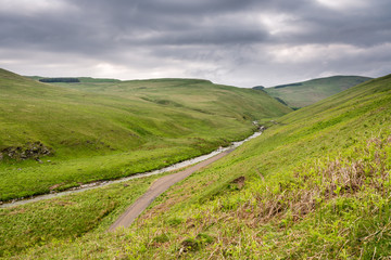 Naklejka na ściany i meble River Coquet in the Cheviot Hills, as it flows through Upper Coquetdale in Northumberland