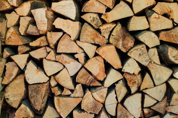 Pile of firewood. Winter is coming.