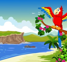 funny red parrot cartoon with lake background