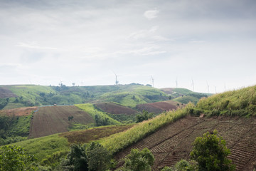 Fototapeta na wymiar Agriculture field with wind turbine generator background