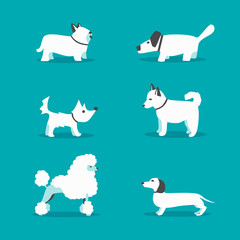 Naklejka na ściany i meble Set of dogs. Cartoon vector illustration. Vet clinic
