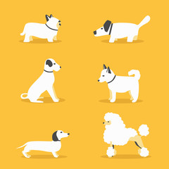 Set of dogs. Cartoon vector illustration. Vet clinic