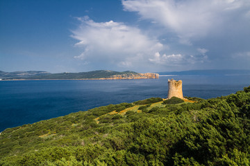 Fototapeta na wymiar Tower near the sea. Capo Caccia. Sardinia island. Italy