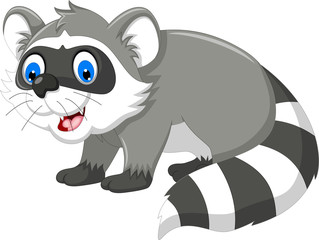 cute raccoon cartoon for you design