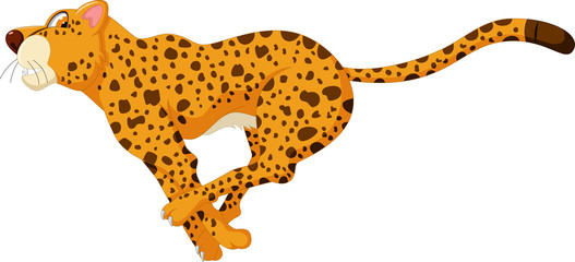cute cheetah cartoon running