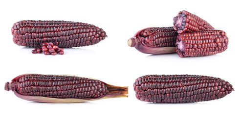 purple corn
