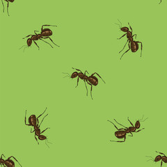 Seamless Animal Pattern. Ant Isolated on Green Background.