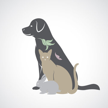 Vector group of pets - Dog, cat, bird,butterfly, rabbit, isolate