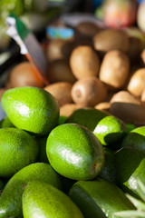 avocats sur un marché