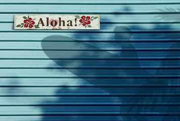 Aloha Hawaiian Wall with Shadow Background 