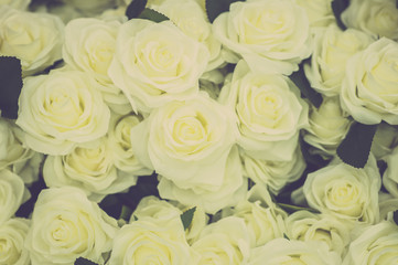 Fototapeta na wymiar Bouquet of roses background. Retro filter