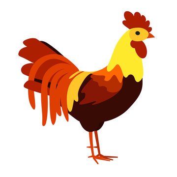 Fire cock on a white background. 2017 New year symbol. Red rooster. Vector illustration.