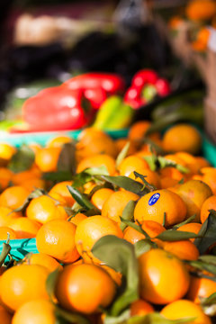 mandarines et clémentine au marché