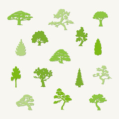 Fototapeta premium Trees collection