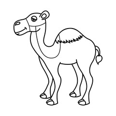 camel desert isolated icon design