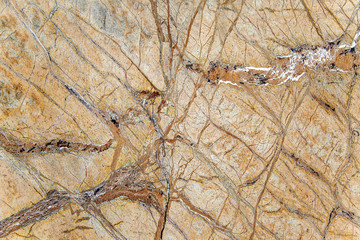 Marble close up view