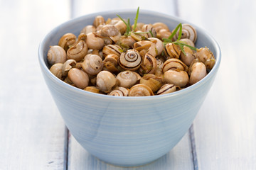 snails in blue bowl on blue background