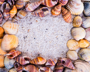 Sea shells on sand. Summer beach background. Top view