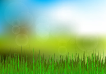 Obraz na płótnie Canvas Green Grass and Blue Sky Background