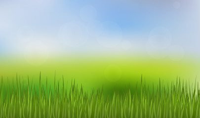 Fototapeta na wymiar Green Grass and Blue Sky Background