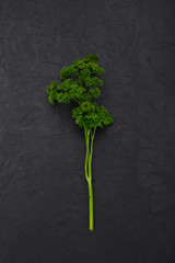 french parsley on black slate background - obrazy, fototapety, plakaty