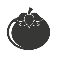 fresh tomato isolated icon design