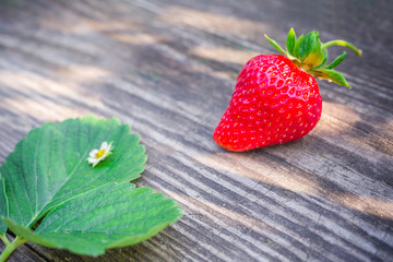Strawberries with green leaves on a textured board