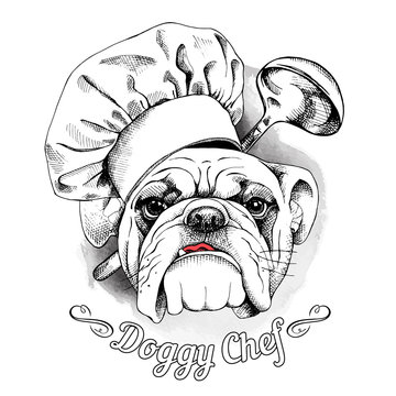 The poster with the image of dog Bulldog in the hat of chef and with the ladle. Vector illustration.