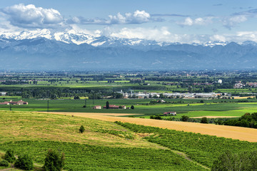 Fototapeta na wymiar Monferrato (Italy): landscape