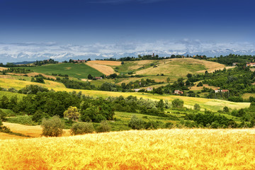 Obraz premium Monferrato (Italy): landscape