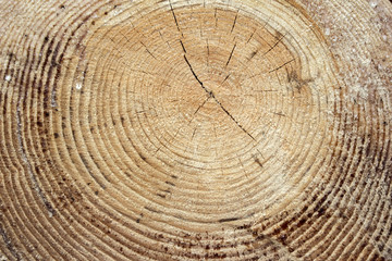 Naklejka premium Wooden background brown color