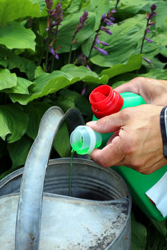 D&uuml;nger in Zinkkanne einf&uuml;llen, Garten