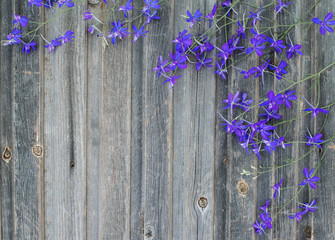 Violet field flowers on vintage weathered wooden background