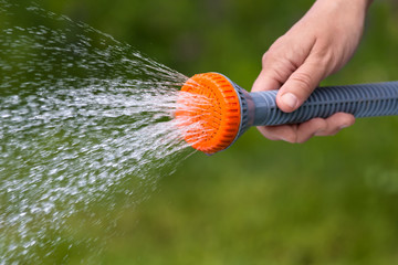 hand watering garden with sprinkler, closeup