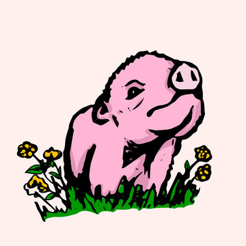 The cute pig on the lawn 1