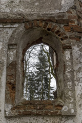 Blick durch die Fenster einer Ruine auf die Tannenbäume