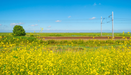 Railroad through nature in summer