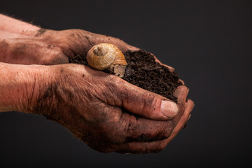 farmers  hand holding soil surface