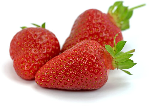 Erdbeeren, Fragaria
