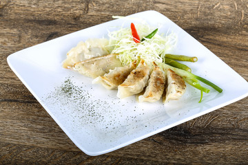 Japanese dumplings