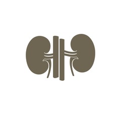 Vector Kidney icon. Transplantation organ sign / nephrology symbol. Vector illustration.