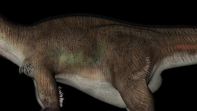 Detail of Body of Utahraptor Dinosaur in Rotation on Black Background