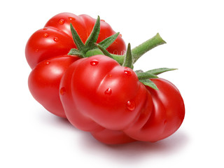 Ripe heirloom Tomatoes on vine, Togorific variety