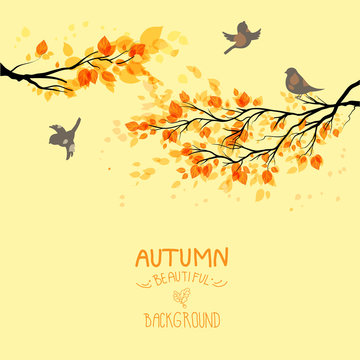 Branches with autumn leaves and birds