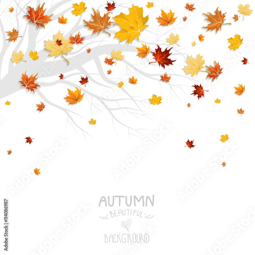 "Falling leaves and branch" Stock image and royalty-free vector files