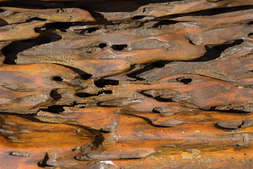 Wood Crack
