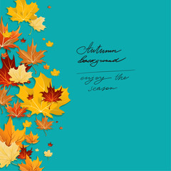 Obraz premium Autumn leaves design on green background